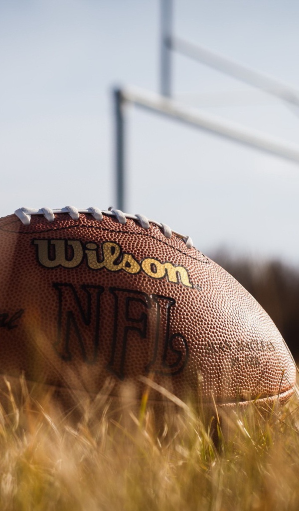 Мяч для американского футбола на поле