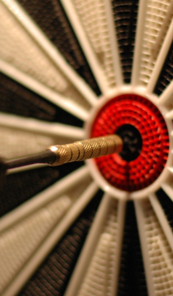 Дротик попал точно в цель