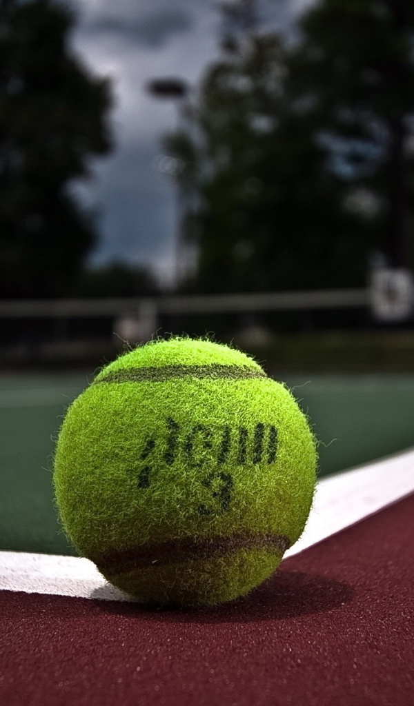 Мяч для тенниса на корте