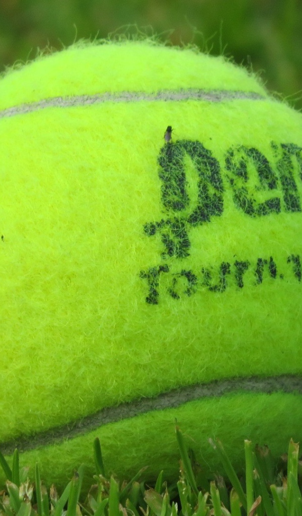 Теннисный мяч на газоне