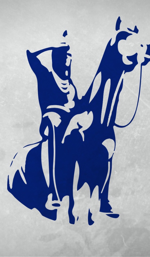 Флаг хоккейной команды Kansas City Scouts