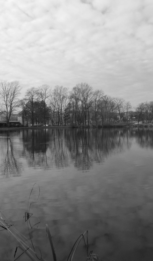 Черно белое фото озера в Сербии