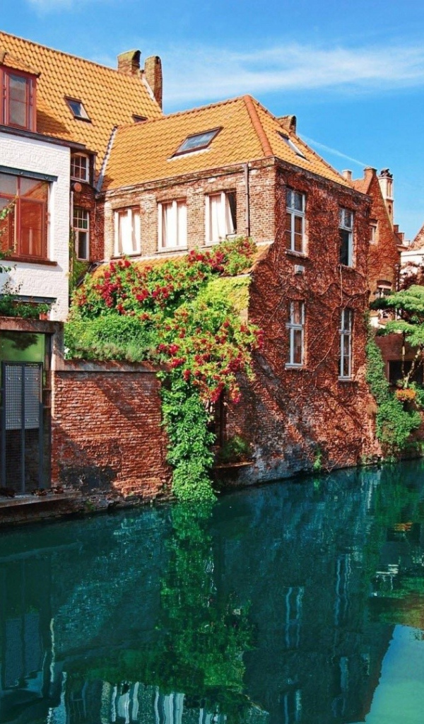 Цветущий город Брюгге, Бельгия