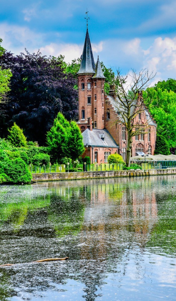 Церковь среди зеленых деревьев на берегу