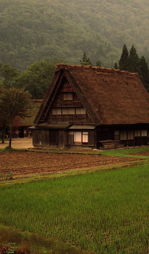 Деревенский дом среди гор