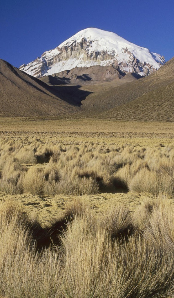 Сухое плоскогорье в Боливии