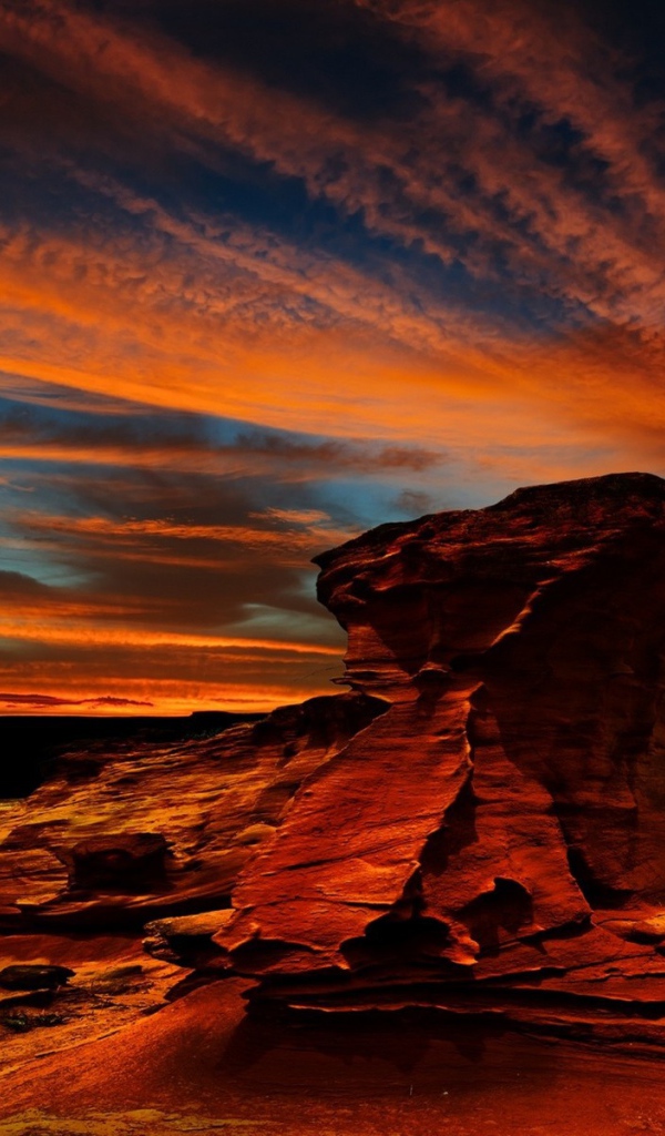 Орел над красной скалой в Чили
