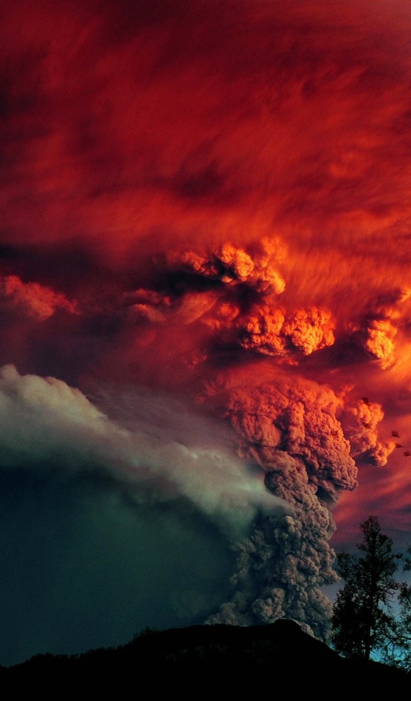 Устрашающее извержение вулкана Кальбуко, Чили