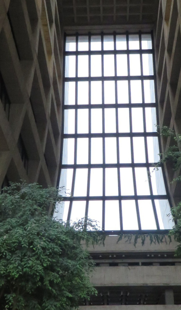 Интерьер правительственного здания