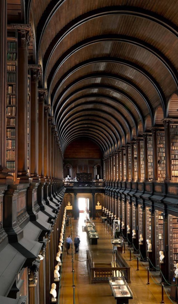 Библиотека в колледже в Дублине