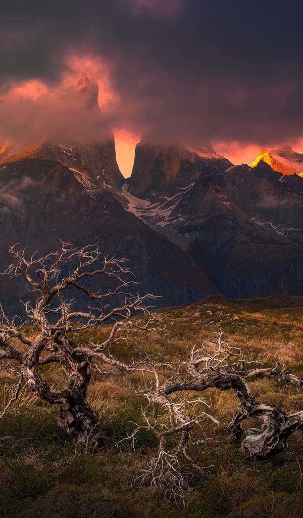 Национальный парк Торрес-дель-Пайне, Чили