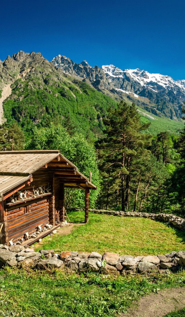 Северная Осетия. Цейское ущелье