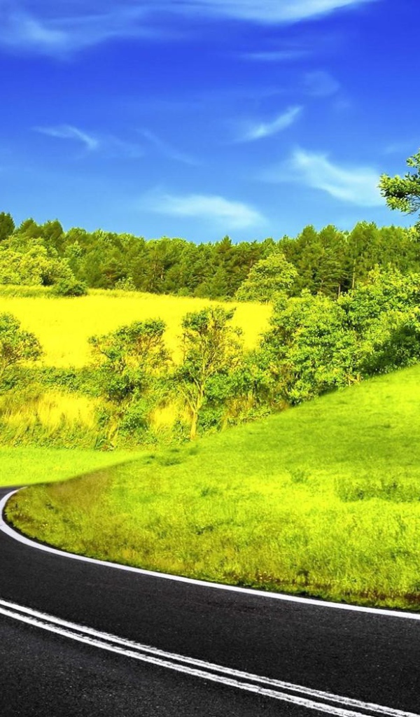 Спокойный сельский пейзаж