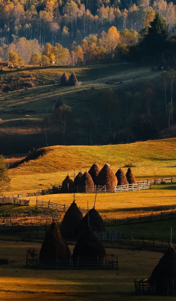Сельский пейзаж в Румынии