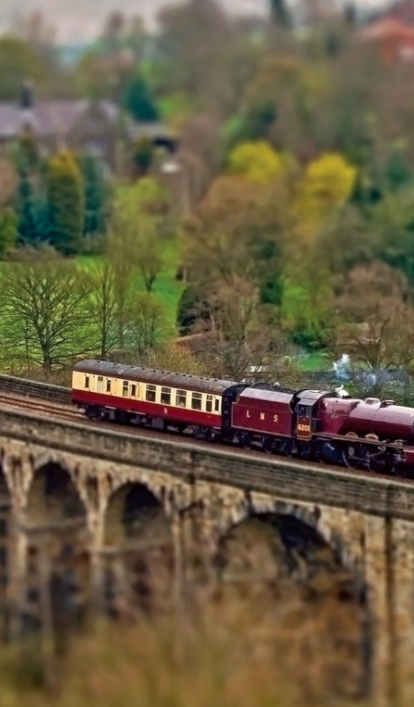 Паровоз с одним вагоном на мосту