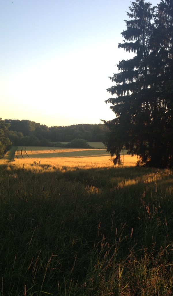 Летний пейзаж в Финляндии