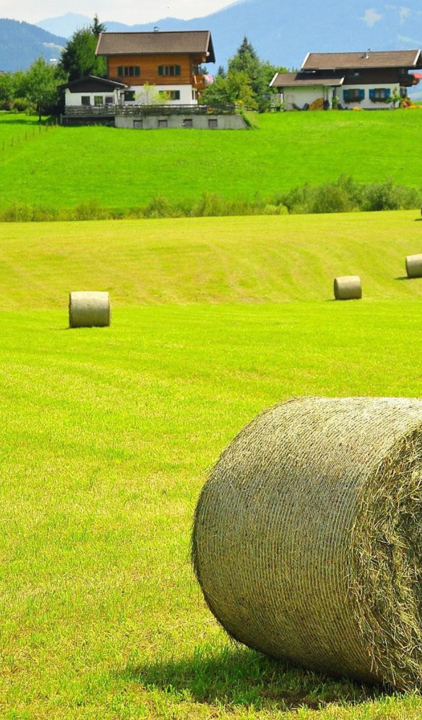 Тюки сена на поле, Австрия