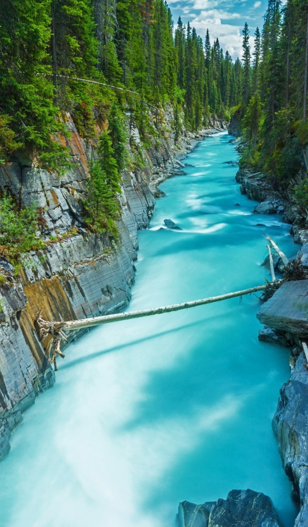 Голубая река среди леса в Канаде