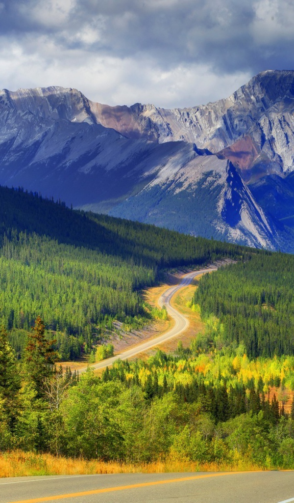 Шоссе среди горного леса в Канаде