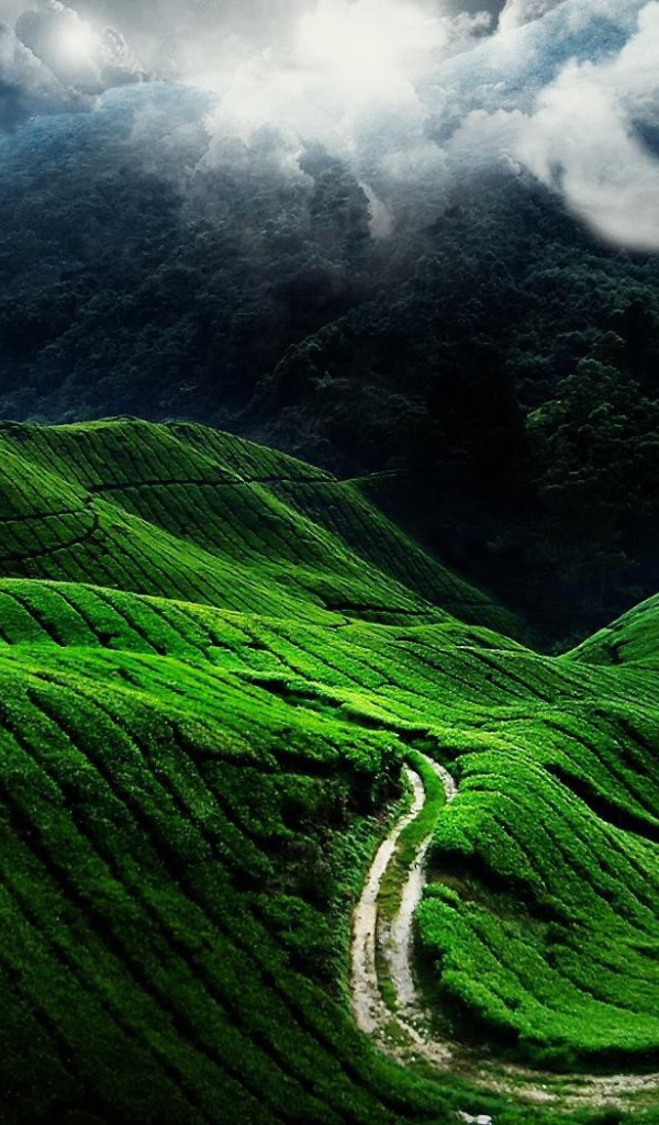 Горный пейзаж в Китае