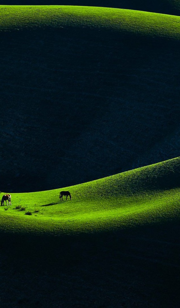 Горное пастбище в Китае