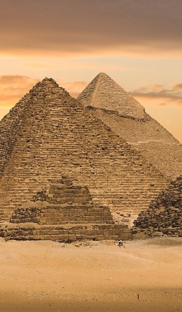 The complex is the Great Pyramids in Egypt