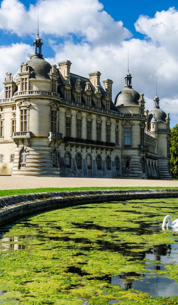 Лебеди в пруду у замка во Франции