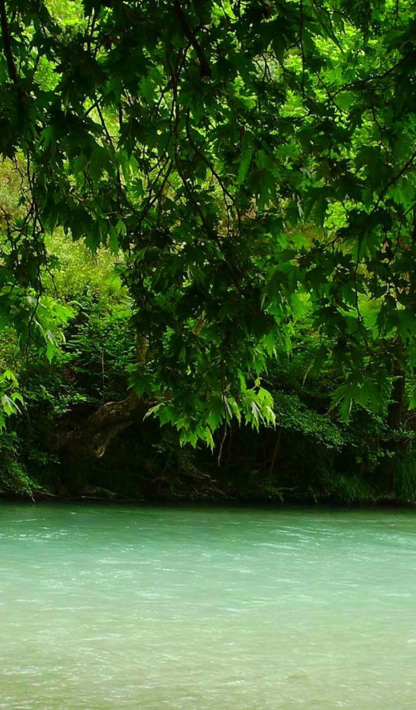 Зелень над рекой, Греция