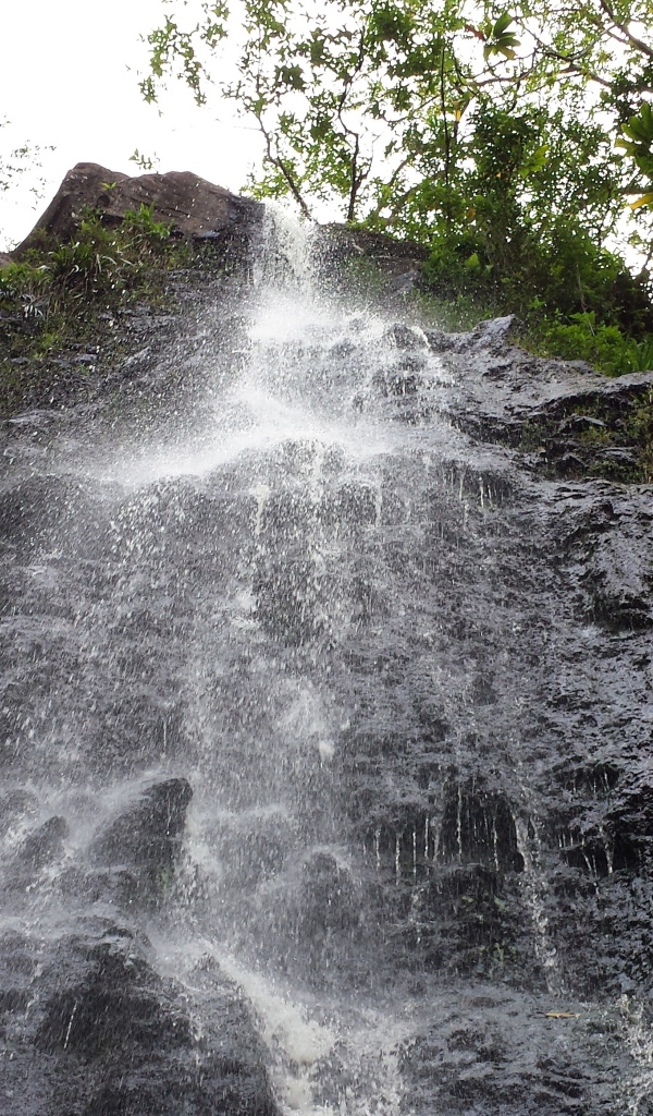 Заповедник Ka‘Au Crater на Гавайях