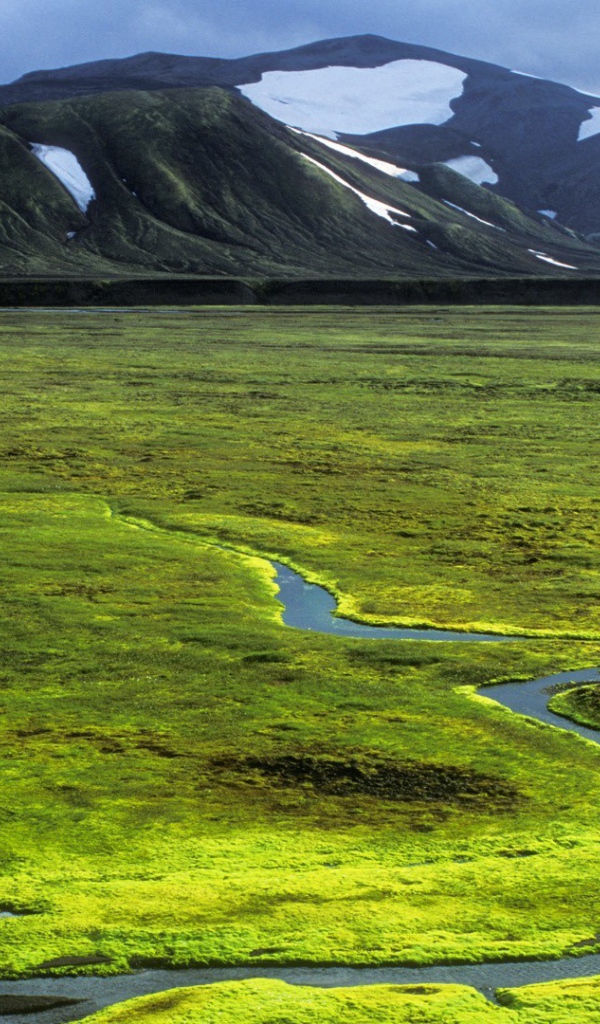 Зеленая равнина в Исландии