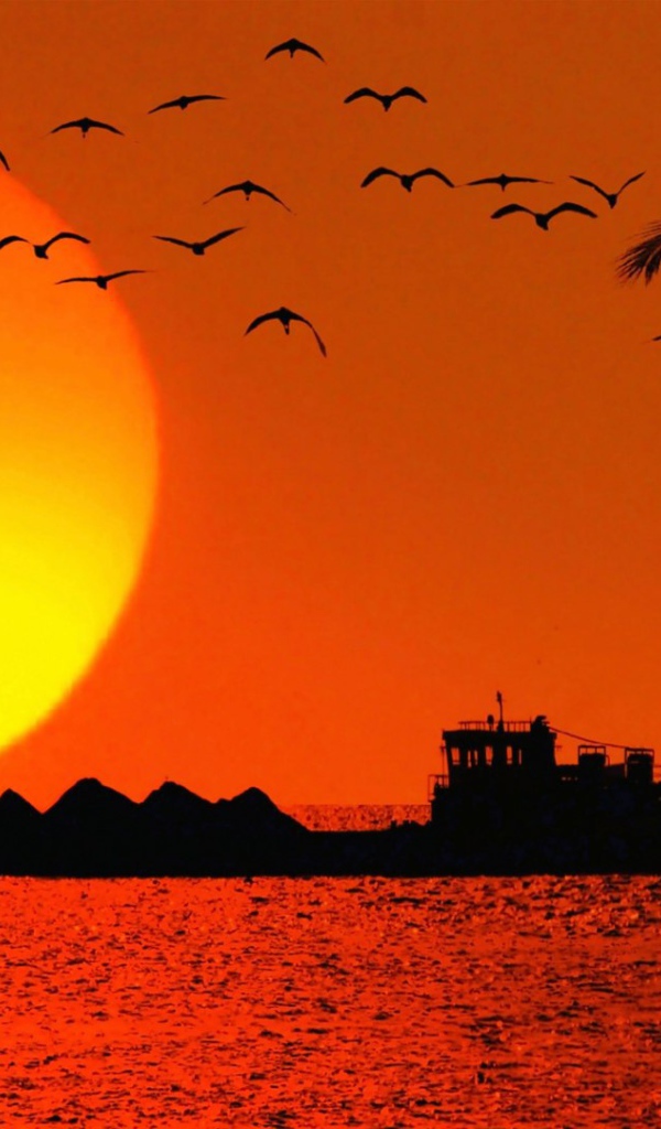 Вечером в Гоа, Индия