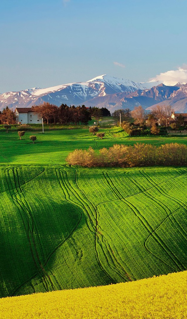 Green field in Italy