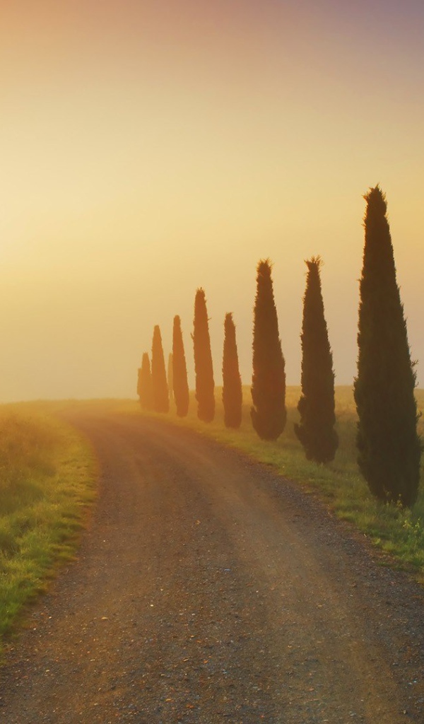 Утро в Тоскане, Италия