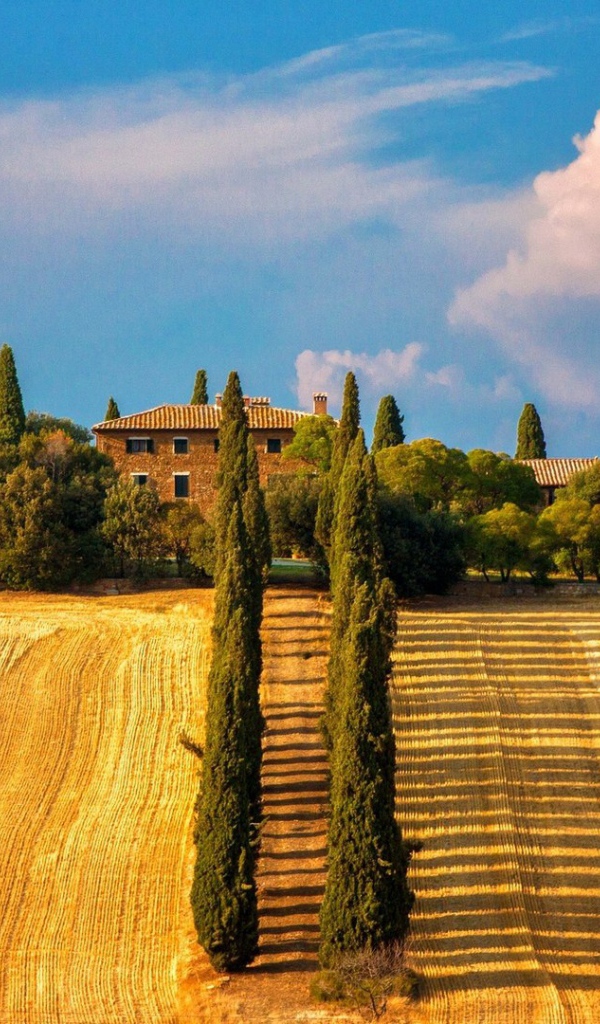 Скошенные поля в Тоскане, Италия