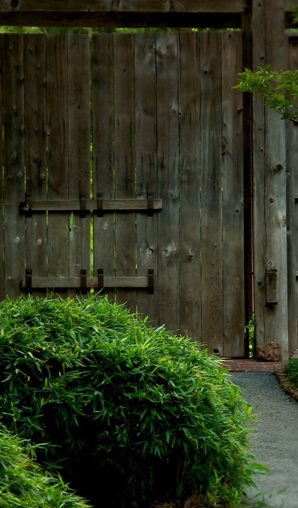 Ворота в японский сад