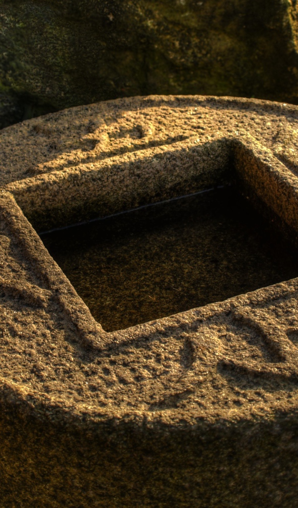 Водоем в японском саду