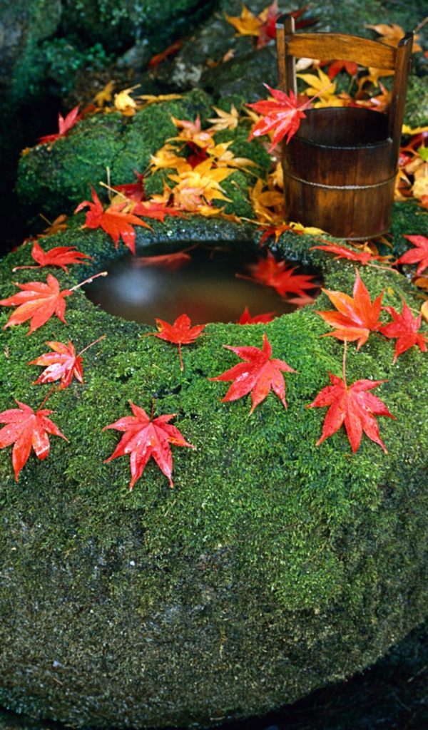 Колодец в камне, Япония