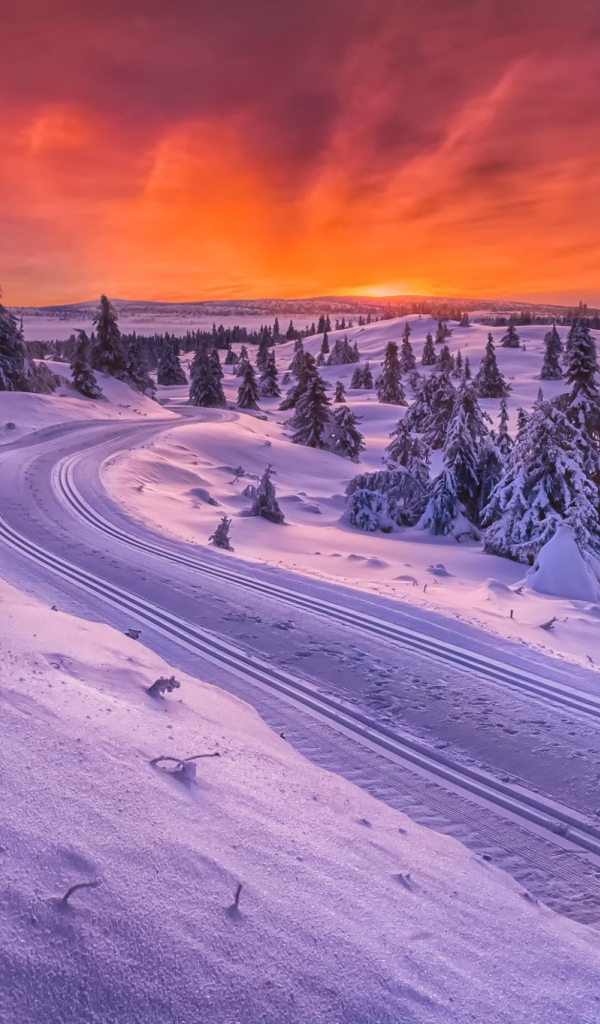 Зимняя дорога в Норвегии