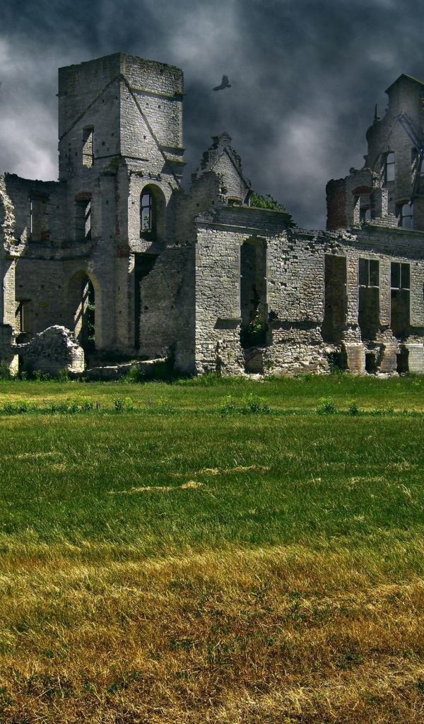 Вороны кружат над руинами замка в Шотландии