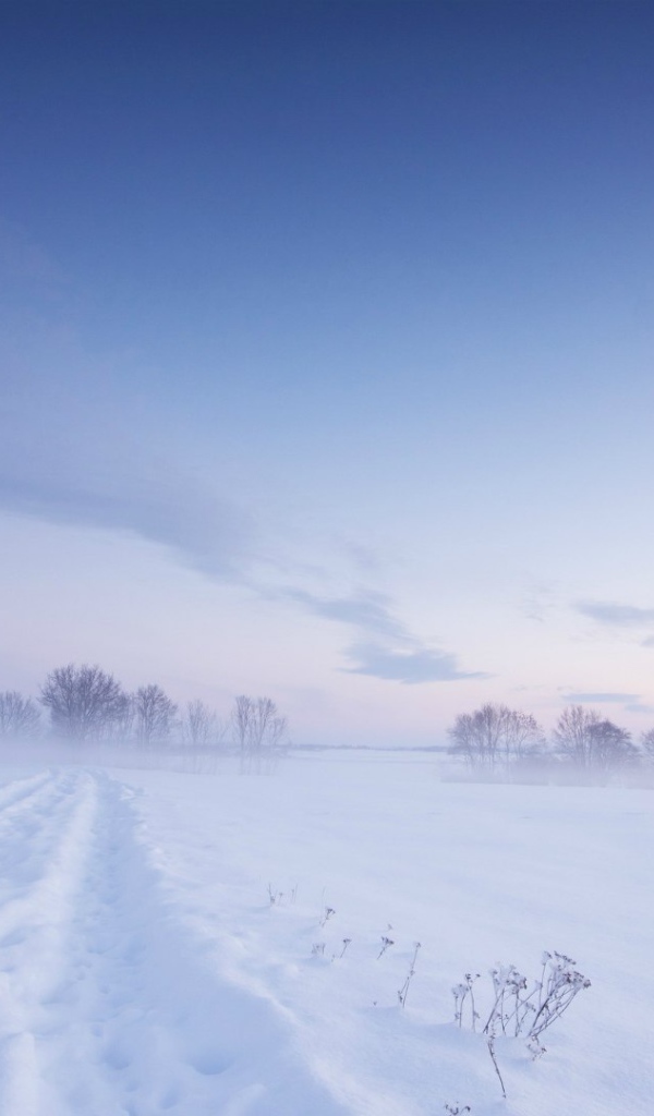 Белая зима в Швеции