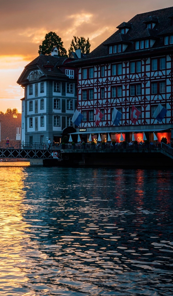 Лебедь на озере, Швейцария