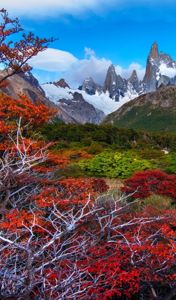 Красочная местность Патагония