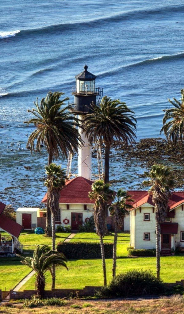 Маяк под пальмами на берегу моря