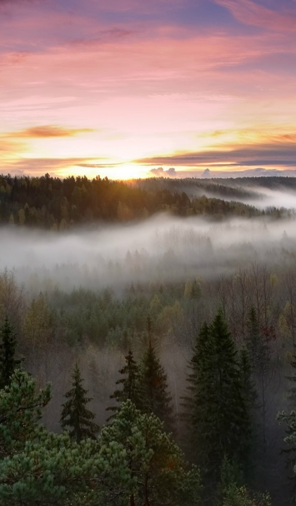 Национальный парк Нууксио Финляндия