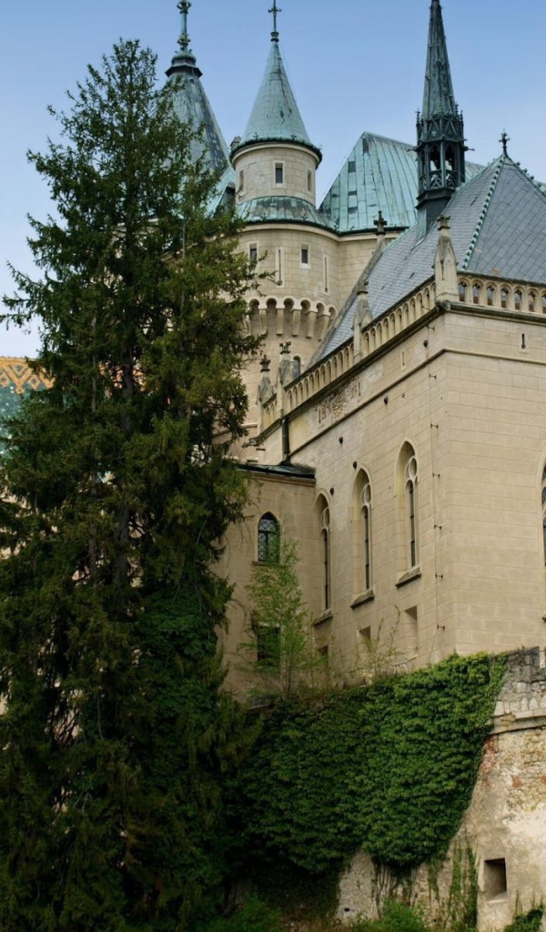 Старинный замок в Словакии