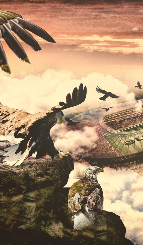 Арена Водафон в облаках, Турция