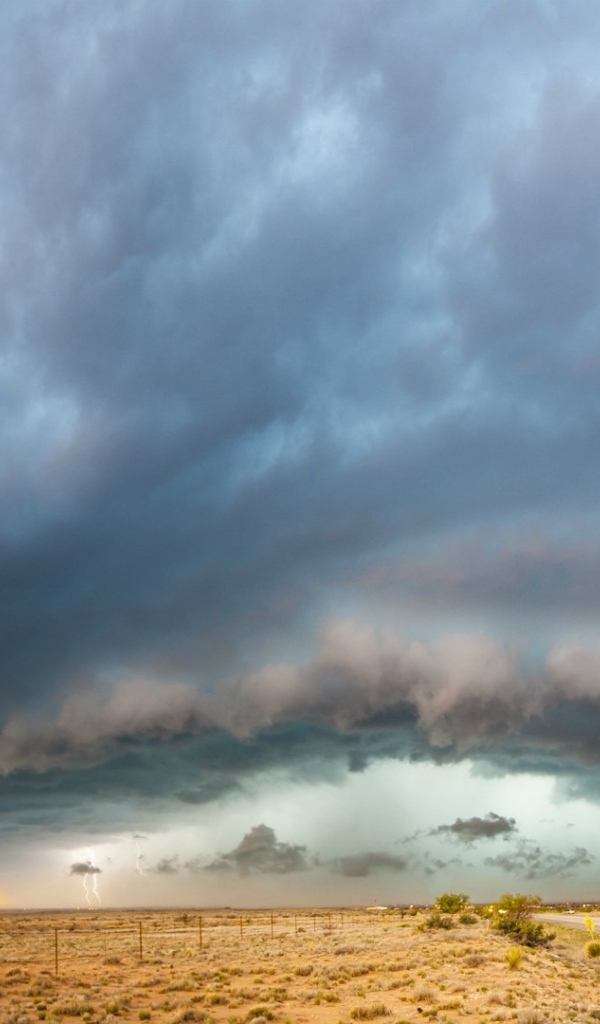 Буря в пустыне. Штат Нью-Мексико, США