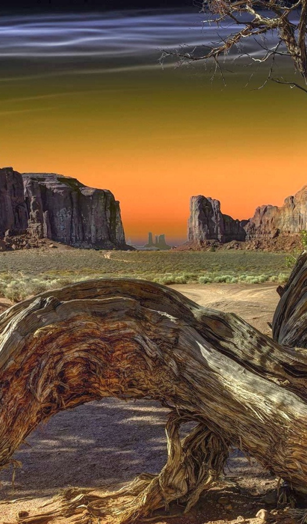 Сухое дерево в Долине монументов, США