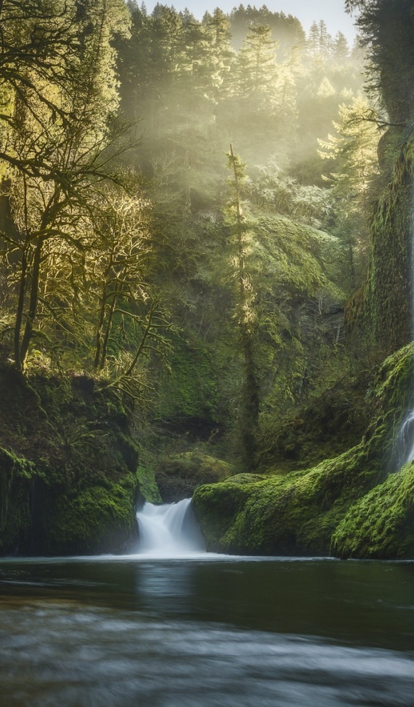 Водопады среди зелени в Орегоне