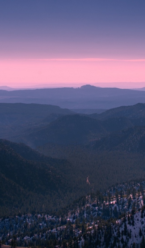 Покрытый лесом каньон Брюса в Юте